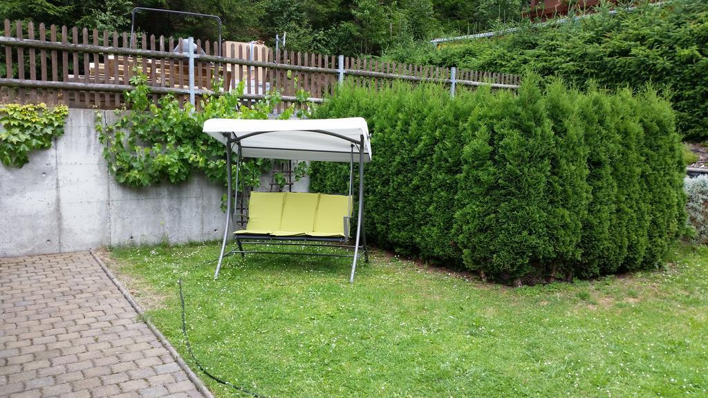 Ferienhaus Doenschten Dippoldiswalde Kamer foto